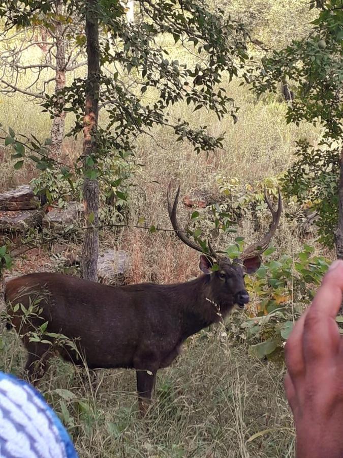 Madla Sadhna Sadan Homestay Panna מראה חיצוני תמונה